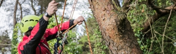 Noleggio di macchinari per arboricoltori