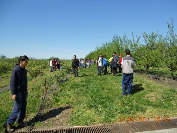 fondazione-minoprio-7