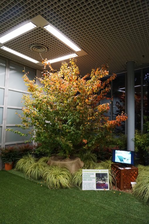 orticolario-2017-gerosa-antonio-macchine-giardino-14