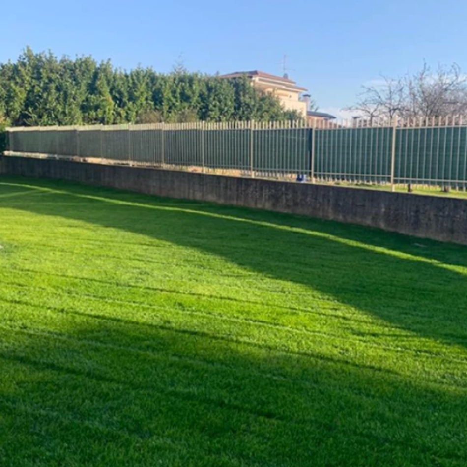 noleggio_rigeneratrice_seeder 23512_007